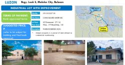 Foreclosed House and Lot in Bulacan (Security Bank)