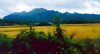 Foreclosed Agricultural Lot in San Jose, Occidental Mindoro