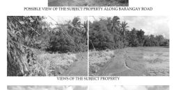 Foreclosed Agricultural Lot in Janiuay, Iloilo, Visayas #2