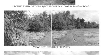 Foreclosed Agricultural Lot in Janiuay, Iloilo · Lot 3942 (Philippine Veterans Bank)