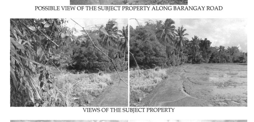 Foreclosed Agricultural Lot in Janiuay, Iloilo, Visayas #2