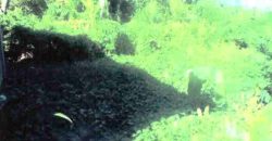 Foreclosed Residential Lot in San Jose, Occidental Mindoro