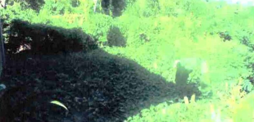 Foreclosed Residential Lot in San Jose, Occidental Mindoro