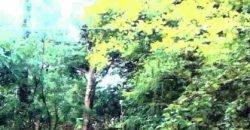 Foreclosed Residential Lot in San Jose, Occidental Mindoro · Blk19 (Philippine Veterans Bank)