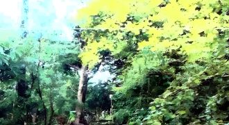 Foreclosed Residential Lot in San Jose, Occidental Mindoro