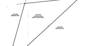 Foreclosed Agricultural Lot in Barotac Viejo, Iloilo (Philippine Veterans Bank) #3