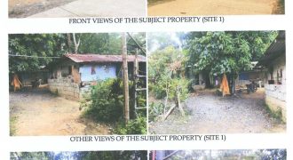 Foreclosed Agricultural Lot in Barotac Viejo, Iloilo (Philippine Veterans Bank) #11