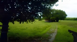 Foreclosed Residential Lot in San Jose, Occidental Mindoro