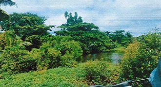 Foreclosed Residential Lot in San Jose, Occidental Mindoro