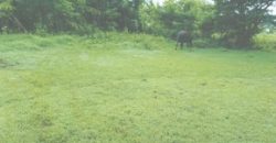 Foreclosed Residential Lot in San Jose, Occidental Mindoro · Lot 4 Blk 6 (Philippine Veterans Bank)