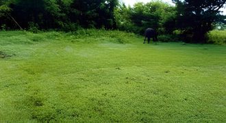 Foreclosed Residential Lot in San Jose, Occidental Mindoro