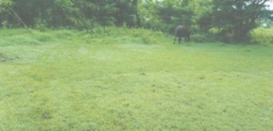Foreclosed Residential Lot in San Jose, Occidental Mindoro · Lot 4 Blk 6 (Philippine Veterans Bank)