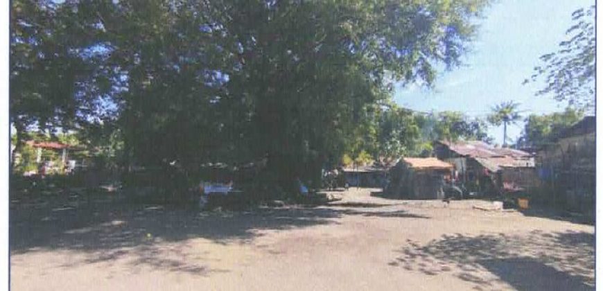 Foreclosed Residential Lot in Bacolod, Negros Occidental · Lot 653-1 (Philippine Veterans Bank)