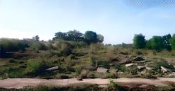 Foreclosed Residential Lot in Trece Martires City, Cavite · Blk 44 (Philippine Veterans Bank) #2