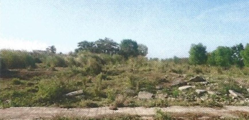 Foreclosed Residential Lot in Trece Martires City, Cavite · Blk 44 (Philippine Veterans Bank) #2