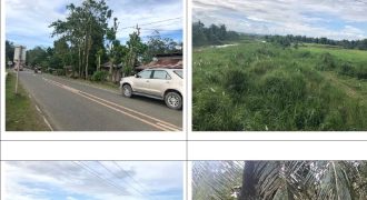 Foreclosed Residential Lot in Lambunao, Iloilo – L 21 Blk 3 Don Venancio Village (Philippine Veterans Bank)