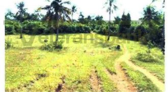 Foreclosed Agricultural Lot in Jaro, Leyte (Philippine Veterans Bank)