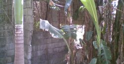 Foreclosed House and Lot in Dasmariñas City