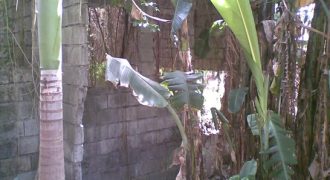 Foreclosed House and Lot in Dasmariñas City