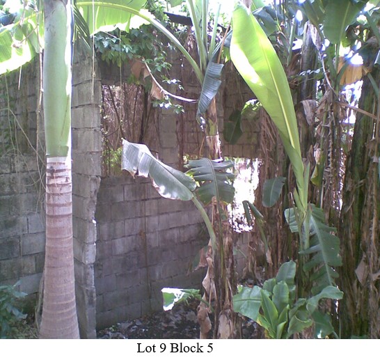 Foreclosed House and Lot in Dasmariñas City