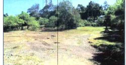 Foreclosed Residential Lot in Mamburao, Occidental Mindoro · Lot 26 (Philippine Veterans Bank)