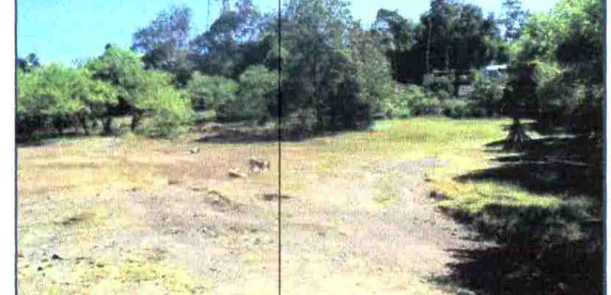 Foreclosed Residential Lot in Mamburao, Occidental Mindoro · Lot 26 (Philippine Veterans Bank)