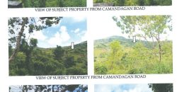 Foreclosed Residential Lot in Alcantara, Cebu (Philippine Veterans Bank)