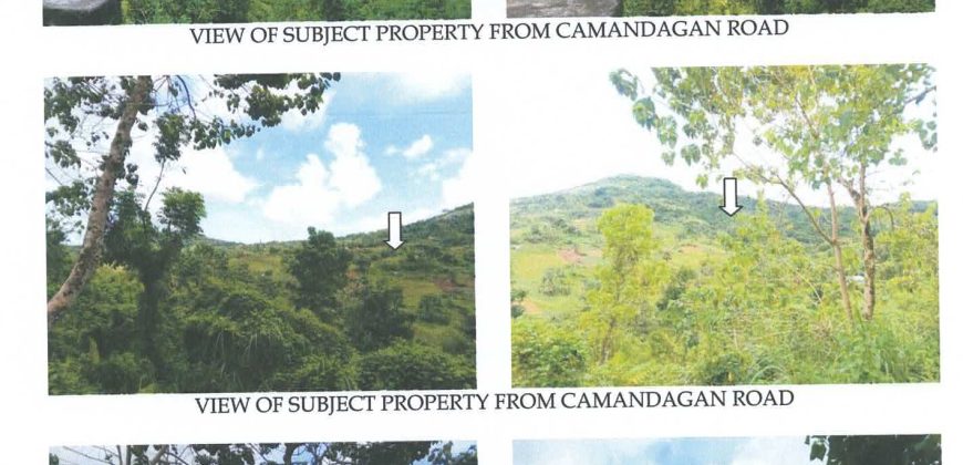 Foreclosed Residential Lot in Alcantara, Cebu (Philippine Veterans Bank)