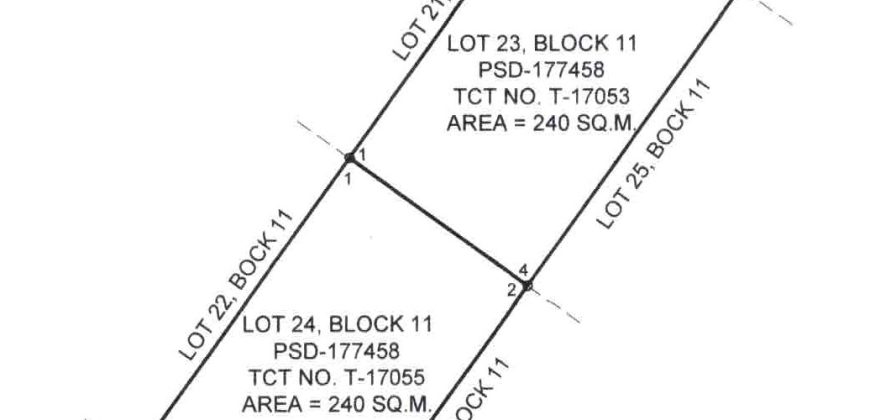 Foreclosed Residential Lot in San Jose, Occidental Mindoro · Blk 11 (Philippine Veterans Bank) #3