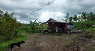 Foreclosed Residential Lot in Daraga, Albay, Luzon #39