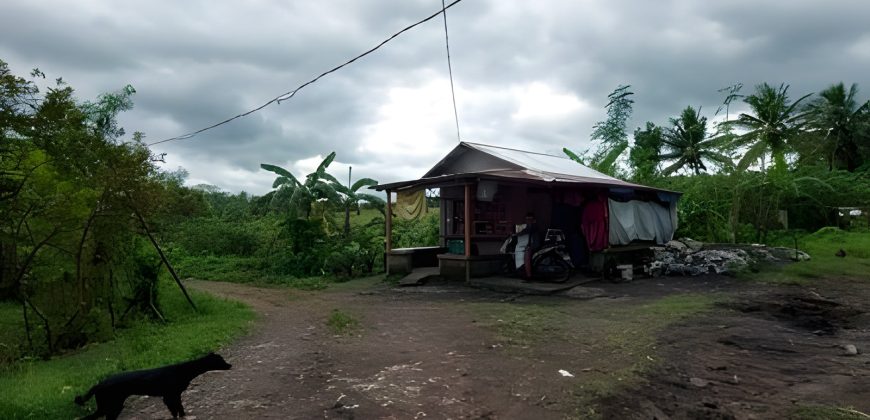Foreclosed Residential Lot in Daraga, Albay