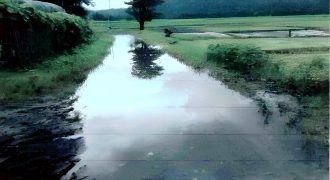 Foreclosed Agricultural Lot in Abra de Ilog, Occidental Mindoro
