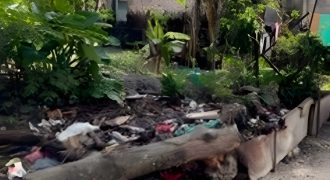 Foreclosed Residential Lot in Quezon City