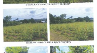 Foreclosed Agricultural Lot in Escalante, Negros Occidental · Lot 2755 (Philippine Veterans Bank)