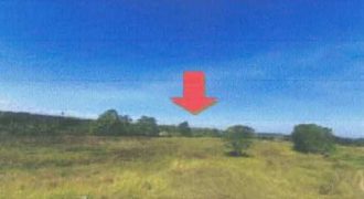 Foreclosed Agricultural Lot in Roxas, Isabela (Philippine Veterans Bank)