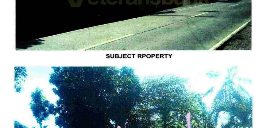 Foreclosed Agricultural Lot in Barotac Nuevo, Iloilo