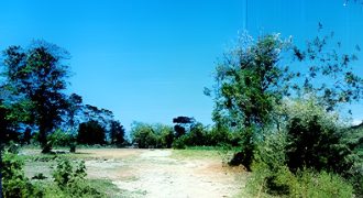 Foreclosed Agricultural Lot in San Jose, Occidental Mindoro