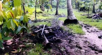Foreclosed Residential Lot in Guinayangan, Quezon