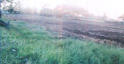 Foreclosed Residential Lot in San Jose, Occidental Mindoro, Luzon #78