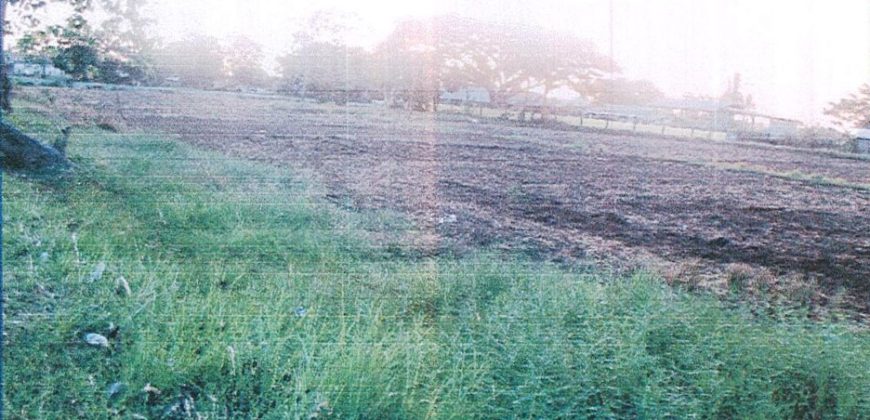 Foreclosed Residential Lot in San Jose, Occidental Mindoro, Luzon #78