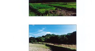 Foreclosed Agricultural Lot in Solsona, Ilocos Norte (Philippine Veterans Bank)