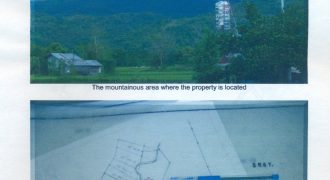 Foreclosed Agricultural Lot in Barotac Viejo, Iloilo (Philippine Veterans Bank) #12