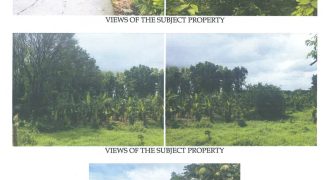 Foreclosed Residential Lot in Jamindan, Capiz (Philippine Veterans Bank)