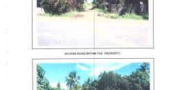 Foreclosed Agricultural Lot in Siaton, Negros Oriental