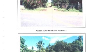 Foreclosed Agricultural Lot in Siaton, Negros Oriental