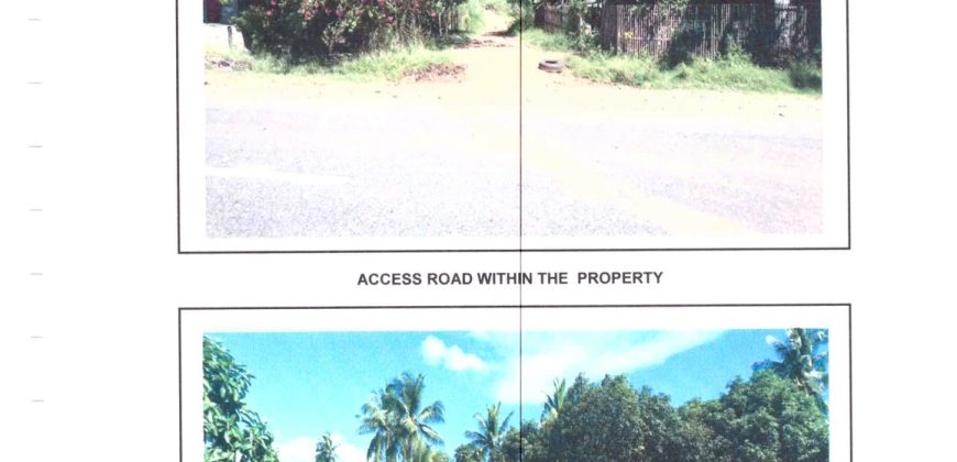 Foreclosed Agricultural Lot in Siaton, Negros Oriental