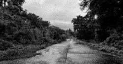 Foreclosed Residential Lot in Laurel, Batangas · Lot 14 Block 11 (Philippine Veterans Bank)