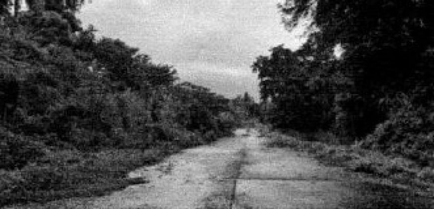 Foreclosed Residential Lot in Laurel, Batangas · Lot 14 Block 11 (Philippine Veterans Bank)