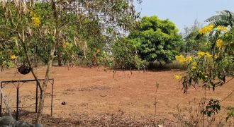 Foreclosed Agricultural Lot in Umingan, Pangasinan, Luzon
