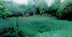Foreclosed Residential Lot in San Jose, Occidental Mindoro